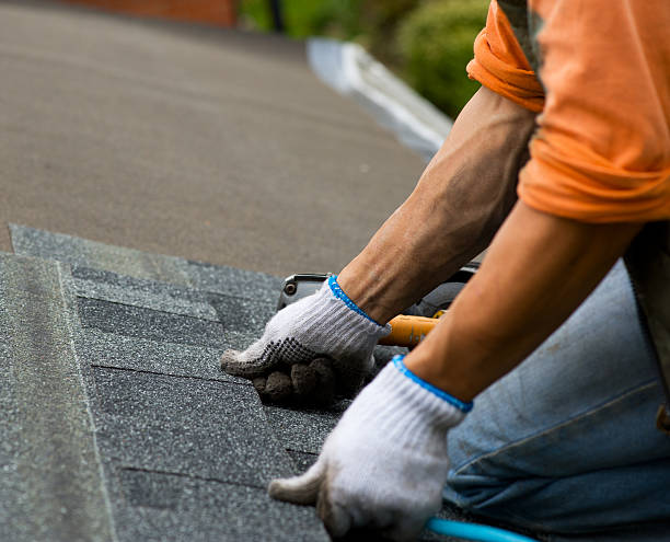 Best Shingle Roofing Installation  in Jamestown, KY